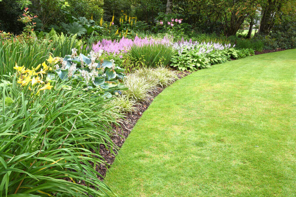 shutterstock_145602661111-1