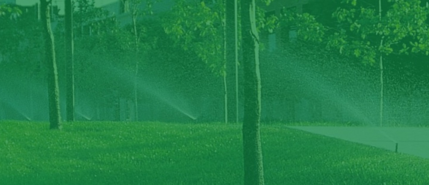 testimonials-bg-green-1